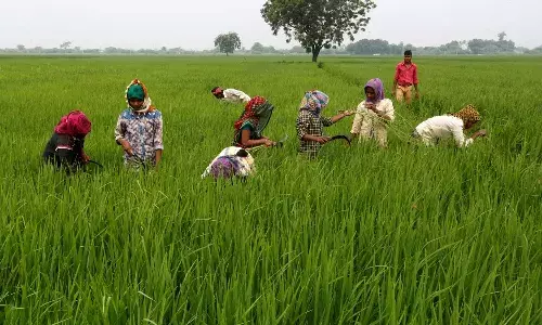 Telangana government, farmers, loans , Loan waiver