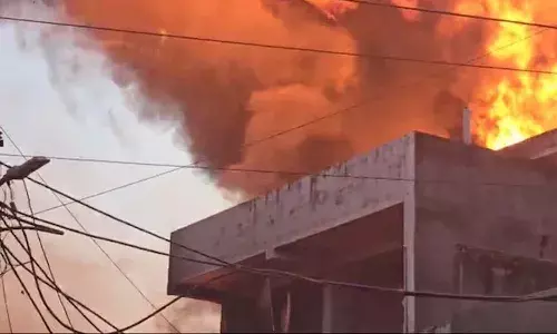fire , paint factory, Delhi, Alipur