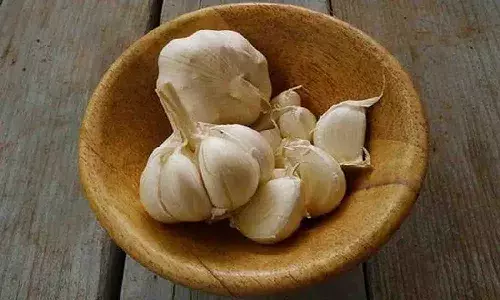 సీసీటీవీ కెమెరాలను అమరుస్తున్న వెల్లుల్లి రైతులు