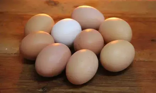 నాలుగు డజన్ల కోడి గుడ్లు 49 రూపాయలు అనగానే క్లిక్ చేసింది.. చివరికి..!