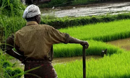 PM Kisan Samman Nidhi Yojana, Central Govt, PM Modi, National news, farmers