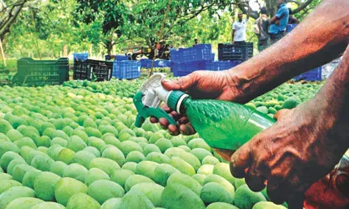 Hyderabad, food adulteration cases, NCRB data, GHMC