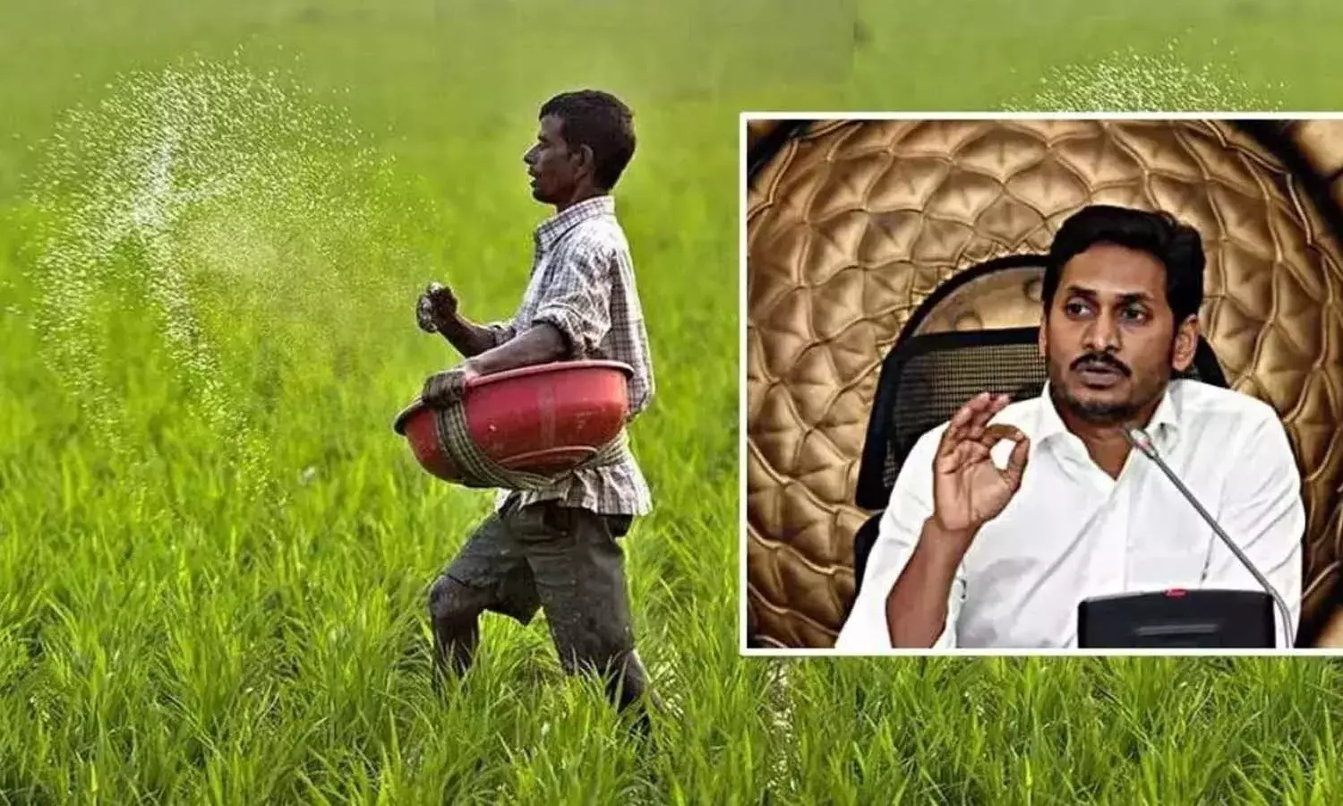 CM Jagan, AP government, input subsidy, farmers, APnews