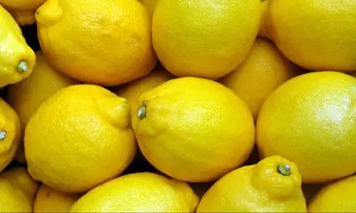 neighbour, lemons, Bombay High Court, CISF