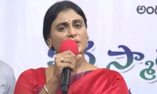 ys sharmila, comments,  viveka murder, cm jagan,