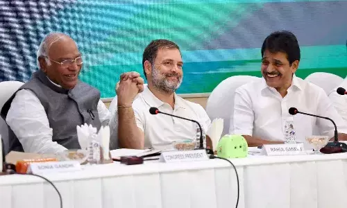 Rahul Gandhi, Congress, Lok Sabha elections, National news