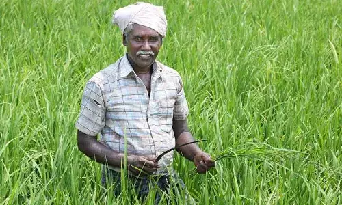 Minister Ponguleti Srinivas Reddy, Rythubandhu, Telangana