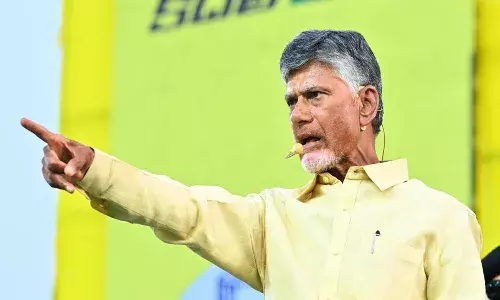 tdp, chandrababu, comments, andhra pradesh, elections,
