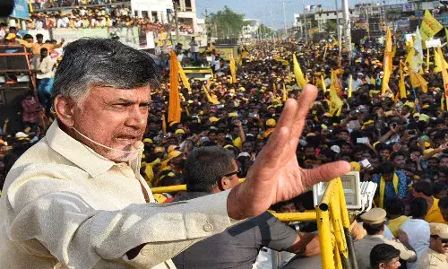 andhra pradesh, election, tdp, chandrababu, campaign,