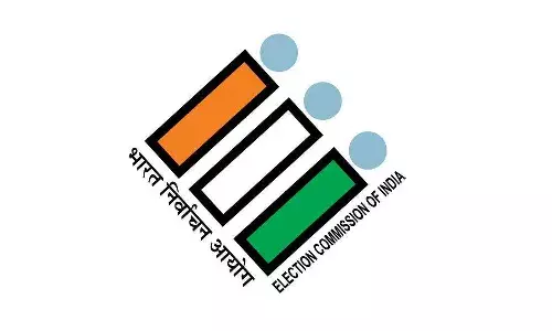 Election Commission, Andhra Pradesh government, volunteers , APPolls