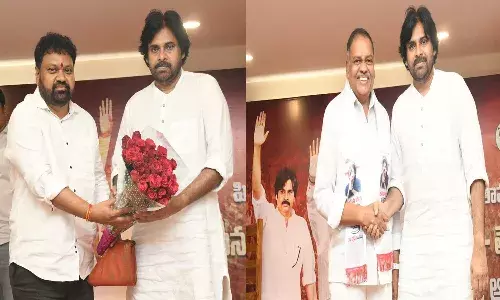 janasena,  pawan kalyan, andhra pradesh,
