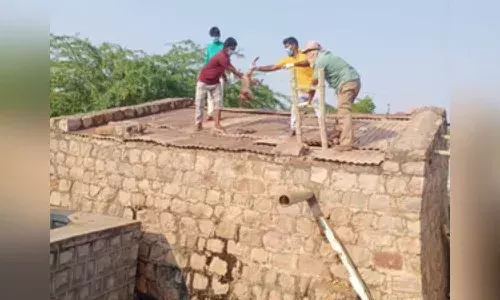 monkeys, water tank, Nalagonda, Nandikonda Municipality, Hill Colony