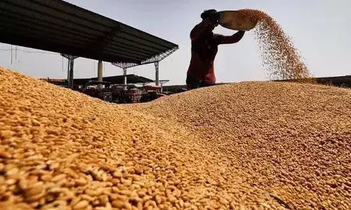 farmers, grain purchase, Telangana, Civil Supplies Department
