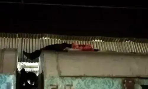 ఢిల్లీ నుండి కాన్పూర్ కు అలా ఎలా వెళ్ళావయ్యా.. అరెస్ట్ చేసిన అధికారులు