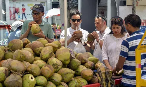 Health benefits, coconut water, coconut water drinking, Summer