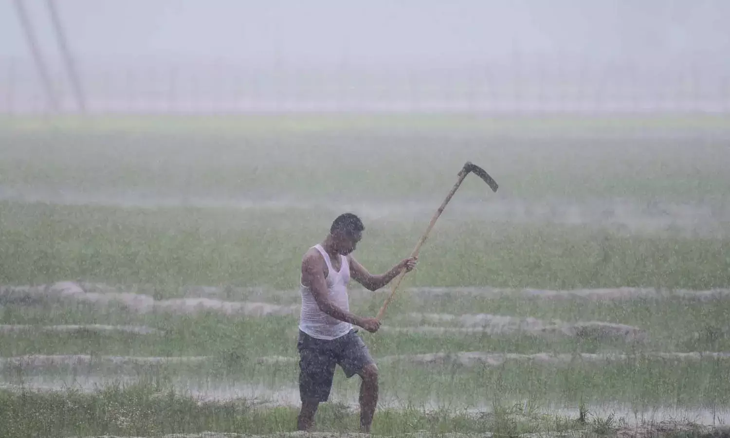 Early Monsoon, Rainfall, La Nina, IMD