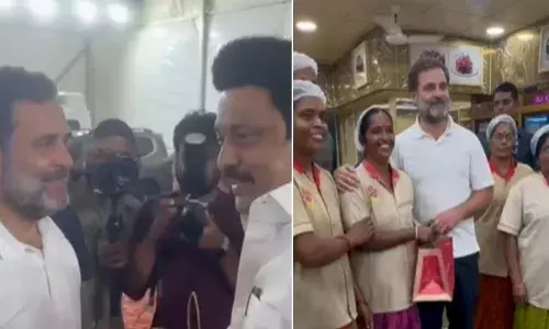 congress, rahul gandhi,  mysore pak, tamil nadu cm stalin,