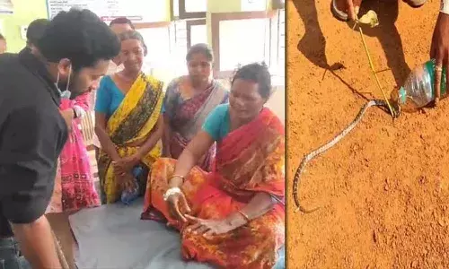hospital, snake, Mulugu district, Viralnews, Venkatapuram