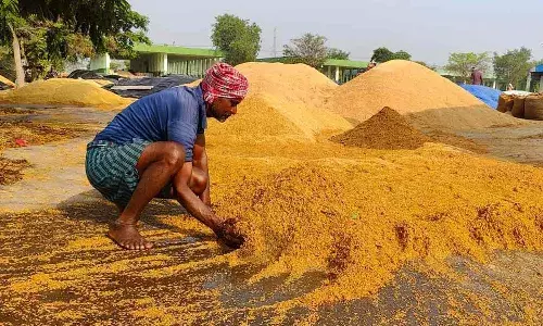 farmers, Rains,Telangana, IMD, Hyderabad