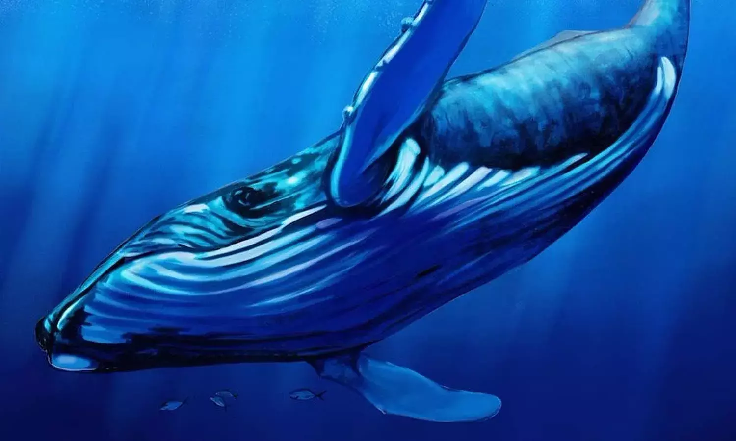 Indian student, USA, Blue Whale suicide game, Crime