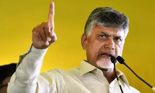 APPolls, woman, Andhra Pradesh,  millionaire, Chandrababu