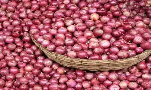 good news, onion farmers, central government,