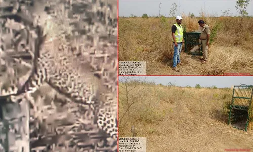 Forest officials, leopard, Hyderabad, Shamshabad Airport