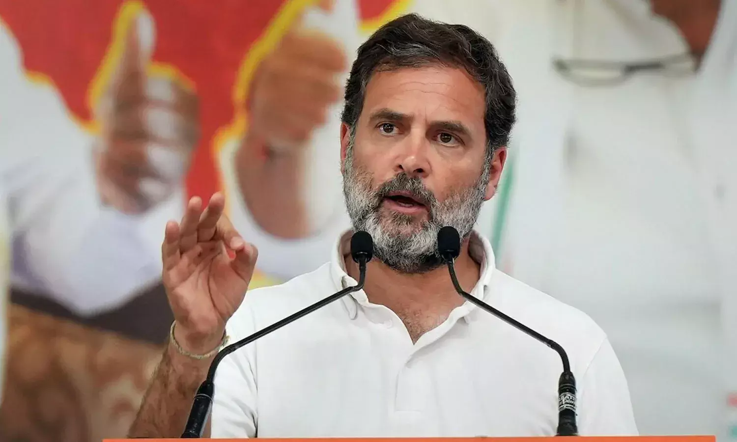 rahul gandhi, contest,  raebareli, lok sabha,