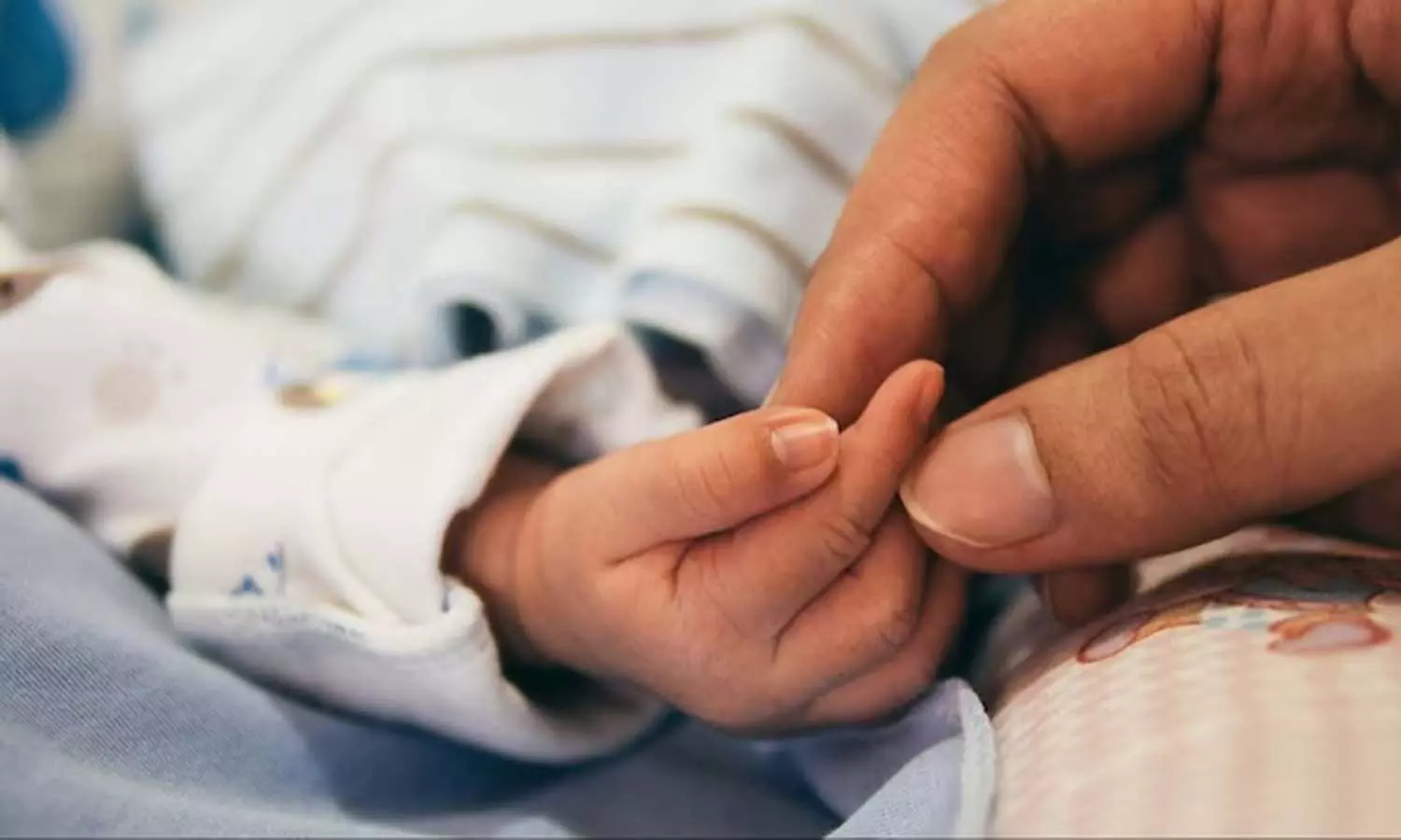 Kerala woman, Kochi,  private hostel
