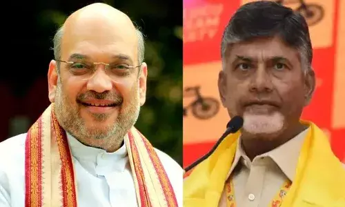 andhra pradesh, election, political,  campaign,