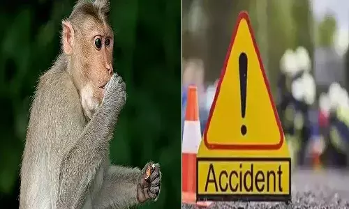 uttar Pradesh, monkey,  road accident, three dead ,
