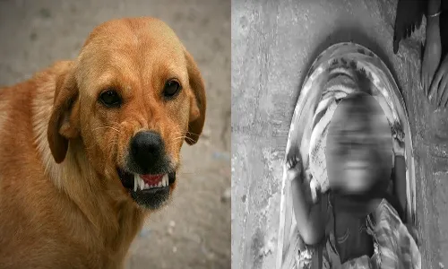 vikarabad,  dog attack, 5 months old boy, died ,