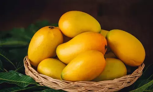 Health, mangoes, Lifestyle