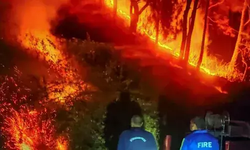 forest staff, poll duty, Supreme Court , Uttarakhand,forest fire