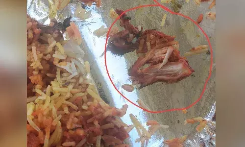 chicken, paneer biryani,  Zomato, Pune