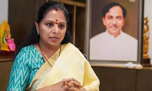 Delhi High Court, CBI , K Kavitha, bail plea
