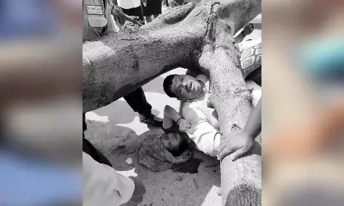 ఊహించ‌ని ప్ర‌మాదం.. చెట్టు మీద ప‌డి వ్య‌క్తి మృతి