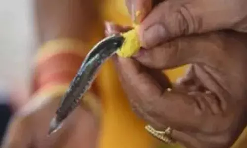 చేప ప్రసాదం కోసం వచ్చే వాళ్లకు.. ఇవి కూడా ఇస్తారు
