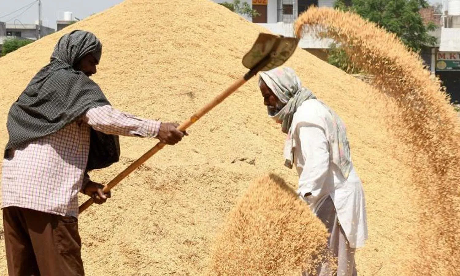 Paddy procurement, grain,  Telangana, DyCM Bhatti Vikramarka
