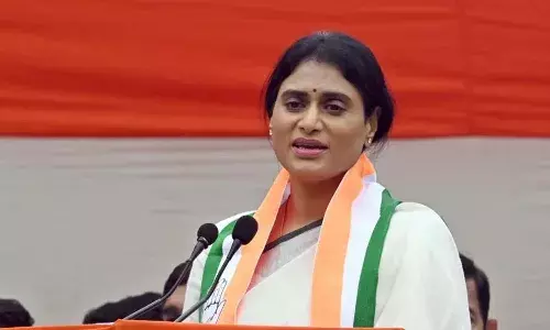 APCC chief YS Sharmila, cm ys jagan, APnews