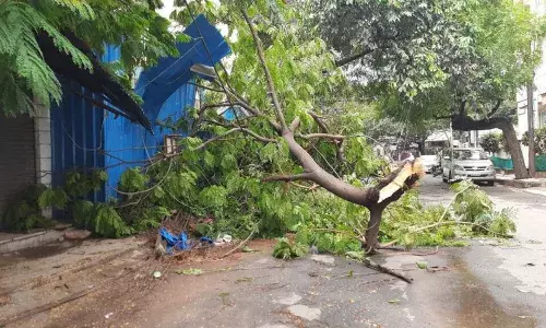 heavy winds, Telangana, Hyderabad, Nagar Kurnool