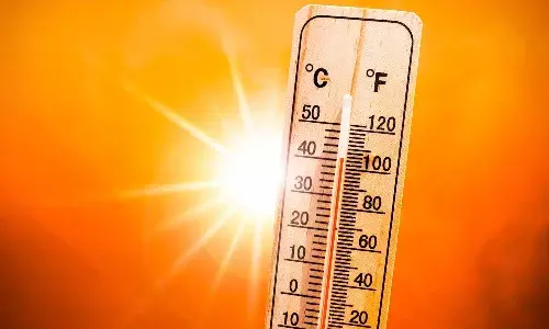 Intense sun, Andhra Pradesh,  Disaster Management Authority