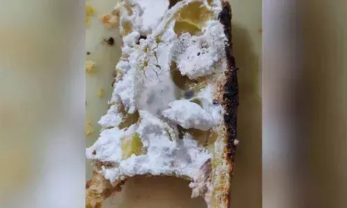 హైదరాబాద్ ప్రముఖ బేకరీ.. కేక్ లో ఫంగస్