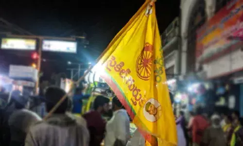 Victory celebrations, TDP camp, Andhrapradesh