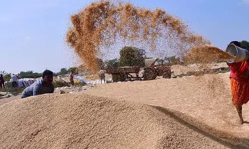 Cash deposit, grain sale, Telangana State Govt