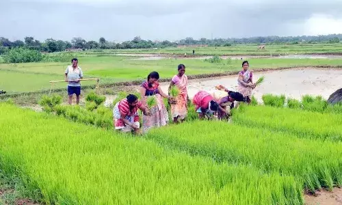 CM Revanth, authorities, farmer loan waiver, Telangana