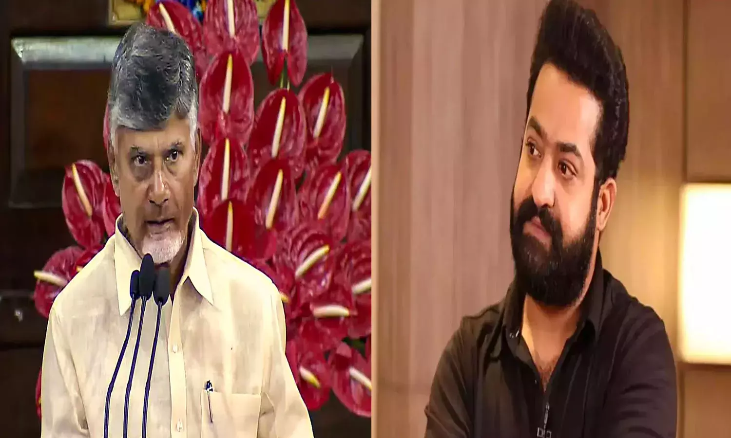 tdp, chandrababu, swearing, jr ntr, andhra pradesh,