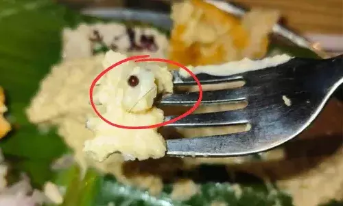 Restaurant, Hyderabad, hair in chutney