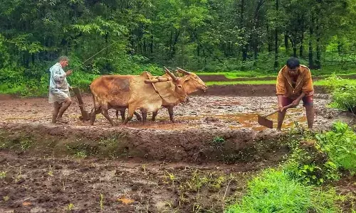 pm kisan money, June 18th, central govt,