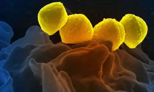 flesh eating bacteria, Japan, Streptococcal toxic shock syndrome, WHO